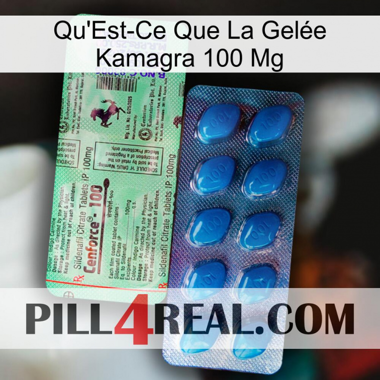 What Is Kamagra Jelly 100Mg new02